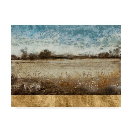 Trademark Fine Art Tim Otoole 'Infinite Pasture' Canvas Art, 18x24 WAG06950-C1824GG